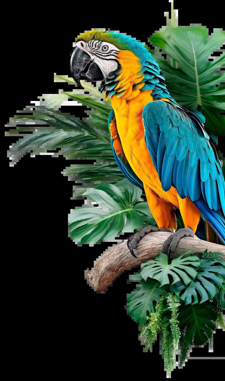 ブダペスト動物園・植物園、ブダペスト