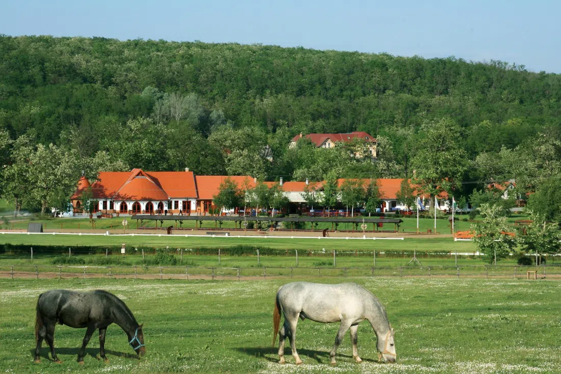Parc équestre Lázár (Mythos Resort Domonyvölgy), Budapest