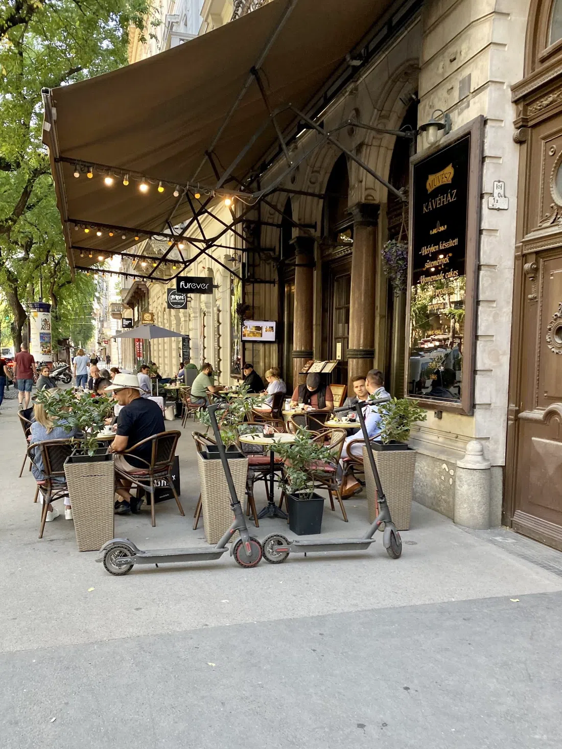 Művész Kávéház, Budapest